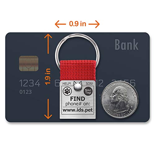 Navitagi Set Of 3 Pet Id Tags For Medium Sized Dogs. Personalized W/Id Number. Reliable Design, Strong Stainless Steel Ring. 2 Phones Updatable Online, Name Safe (3 Tags - 3 M) #TOP6