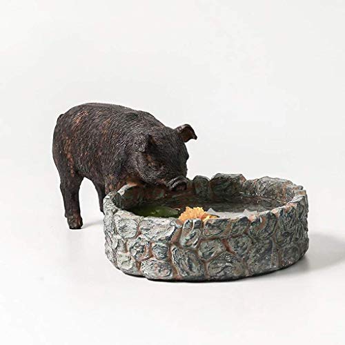 How to take salvias cuttings How to take salvias cuttings