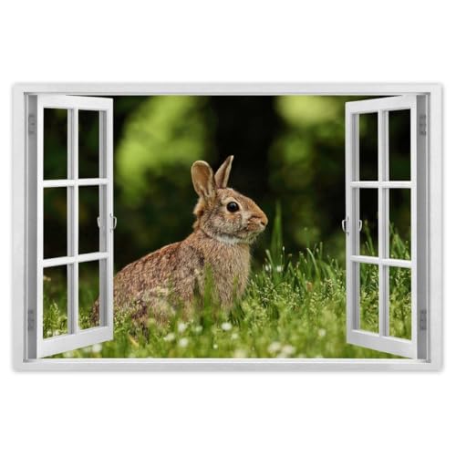 Poster photo lièvre dans la prairie 120 x 80 cm H9945M_WAPL1B
