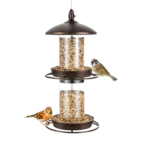 Backyard Expressions 2-Tier Bird Feeder with Sure-Lock Cap and Hanging Hook, Wild Bird Feeders - 4.5 lb Seed Capacity