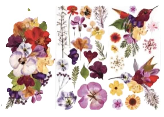 PRIMA MARKETING INCRe-Design Decor Transfers 6"X12" 3/Sheets-Organic Flora