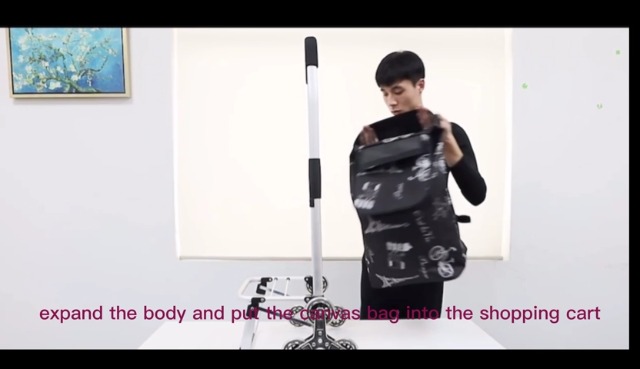 Carrello Della Spesa Pieghevole | Telaio Alluminio, Borsa Impermeabile, Portata 50kg - Foto 12