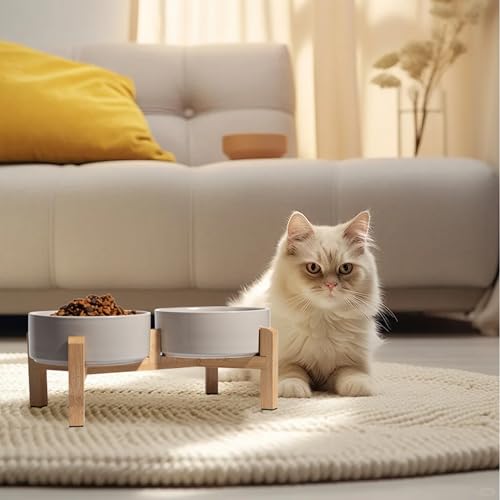 Hundenapf Set Erhöht Hunde Napfset - Doppel Napf Hund Keramik mit rutschfestem Ständer - Futterstation Hund - Hundenäpfe 2er Set für Futter und Wasser - Ideal für Kleine Hunde und Katzen - 2 x 480 ml