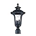Acclaim 3857BK Augusta Collection 3-Light Post Mount Outdoor Light Fixture, Matte Black