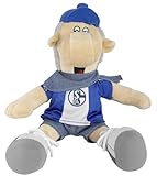 FC Schalke 04