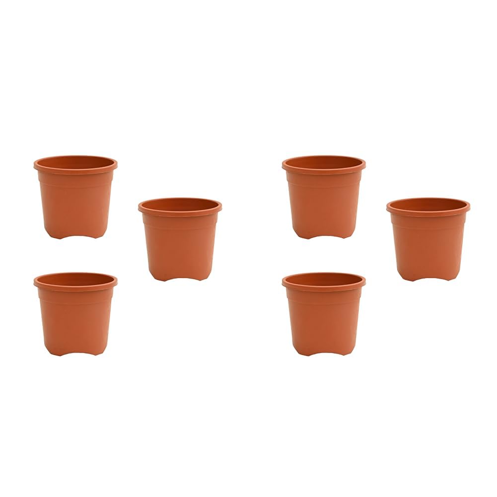 Ugaoo 3 Pack UV Plant Pots - 8 Inch Terracotta -7