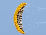 Fácil y seguro para volar. Huya Force 2.5m de Doble Línea de Cometas Parafoil Stunt con la Manija 30 m de Cuerda, Cometa de Deporte de Playa, Jardín al Aire Libre Juegos de Jardín Diversión