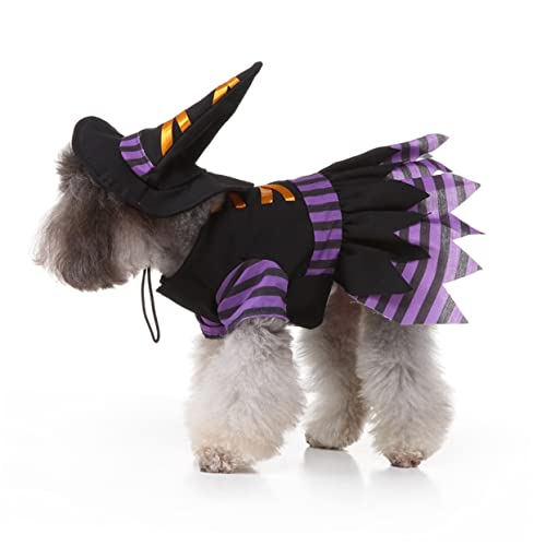 Disfraz de Bruja Halloween para Perros Talla L miniatura 2