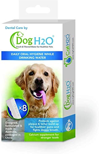 Goofy Tails Dog & Cat H2O Dental Care Tab for Oral Hygiene | for Pet H2O Water Fountain Filter (Dental Care Tablet 8 Tabs)