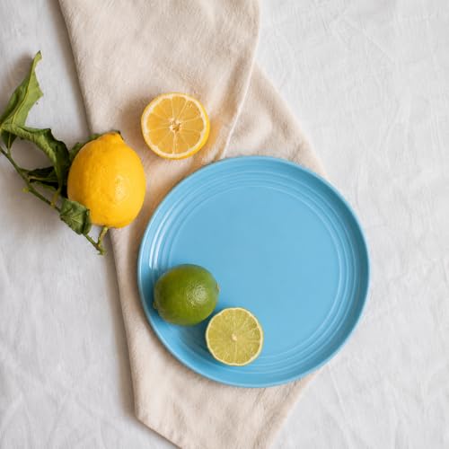 Image of TRESA Stoneware Ceramic Dinner Plate, Blue, 10.5 Inch