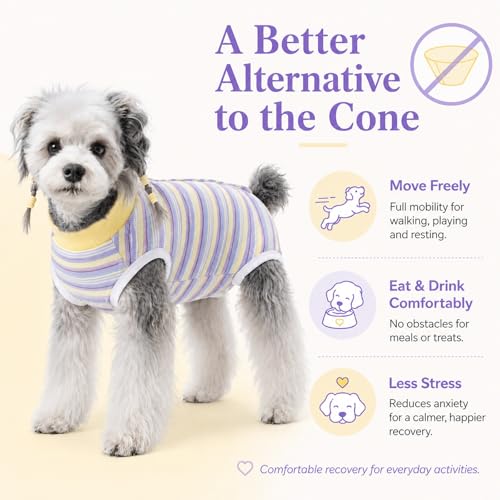 Image of Dog Surgery Recovery Suits, Sleeveless Dog Recovery Suit Female, E-Collar & Cone Alternative Surgical Suit for Small and Medium Dogs After Surgery, Striped Dog Onesie Pajamas