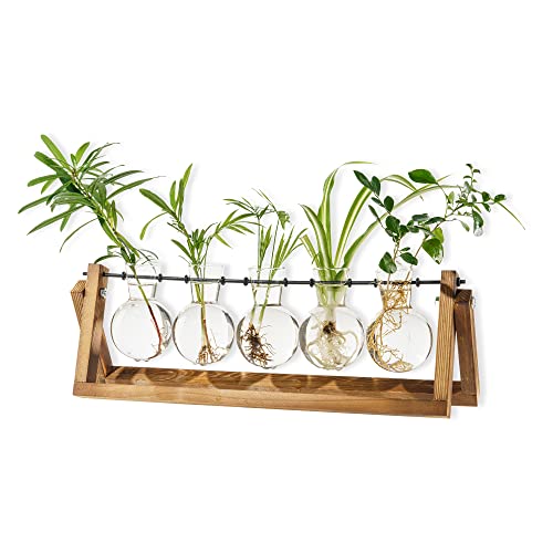 Balgardekor Plant Terrarium Plant Propagation Stations Desktop With Wooden Stand Glass Bulbs Vase Home Office Window Decoration Indoor Planter Gift For Mom Sister Friends (Brown, Round 5 Bulbs) #TOP1