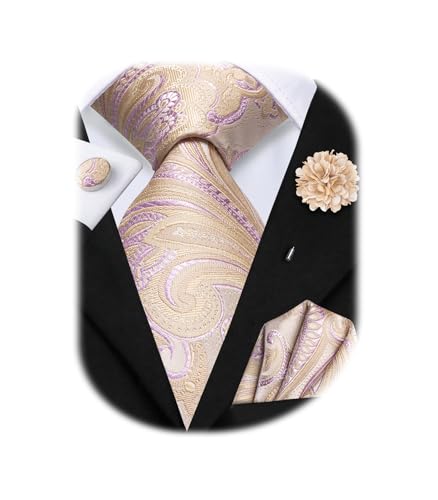 Image of Hi-Tie Mens Paisley Floral Striped Ties Set Silk Necktie and Lapel Pin for Men Pocket Square Cufflinks Set Business Wedding