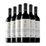 Bodegas Miguel Torres