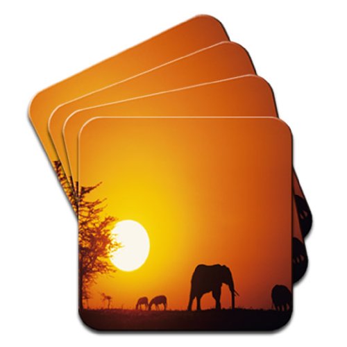 African Elephant Sunset Set of 4 Coasters