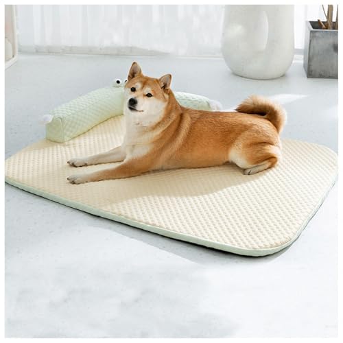  ⊴}bg nCGhwhbOxbhAtA􂦂 ΍ ACXVNn xbh   xbh  ⊴xbh pxbh   xbh,Yellow-L