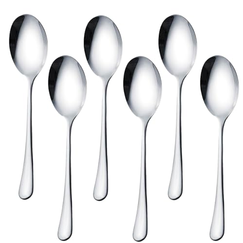 AOOSY Serving Spoons, 6 Pieces X-Large 9.8 Inches Stainless Steel Serving Spoon Catering Spoons Solid Serving Utensils Big Ladle Tablespoons for Buffet Banquet Flatware Kitchen Basics Serving