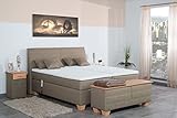 Spenger Bettenstudio Boxspringbett Symo mit elektrischer Verstellung, 90x200 cm, 7-Zonen Taschenfederkernmatratze, Geltopper, Hettich Motoren, H2, H3, H4, Farbe: Webstoff fein Rot