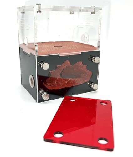 Ant Farm&Nest,House, Nest for ant Farm, Behavior Study House, Small Ant House.