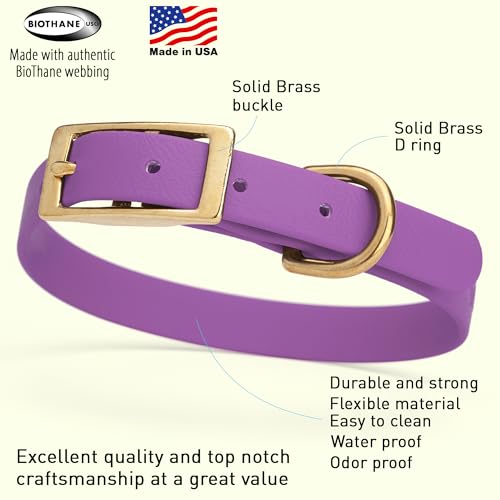 Image of Viper Biothane Heavy Duty Waterproof Dog Collar Strong Coated Nylon Webbing w /Solid Brass Hardware Odor-Proof for Easy Care to Clean High Performance Fits Small Medium or Large Dogs, Amethyst Purple