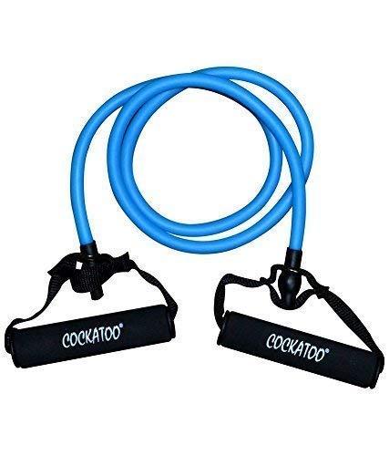 Prokick Professional Expander Toning Resistance Tube, Blue (Medium) (B08G51K5L5) Amazon Price History, Amazon Price Tracker