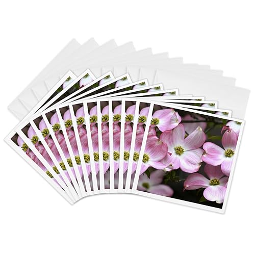 PS ? sNDogwood Flowers ? Trees ? Springʐ^ ? Greeting cards-12O[eBOJ[htiGC _ 51418 _ 2 )