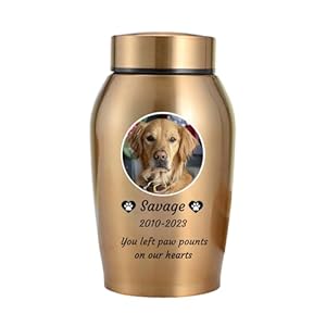 Wxmyozr Goldene Hundeurne 22007832 Groß