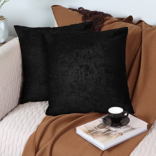 pendali Housse de Coussin Taie d'oreiller Souple Décoratif en Velours Carré de Couleur Unie avec Fermeture Glissière Invisible, Lot de 2 Housses de Coussin pour Canapé de Salon 45x45 cm, Noir Clair Cover