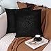 pendali Funda de Cojín Fundas de Almohada Decoración Terciopelo Cuadrado Suave Color Sólido con Cremallera Oculta, Juego de 2 Fundas de Cojines Decorativos para Sofá y Cama 45x45 cm, Negro Luz