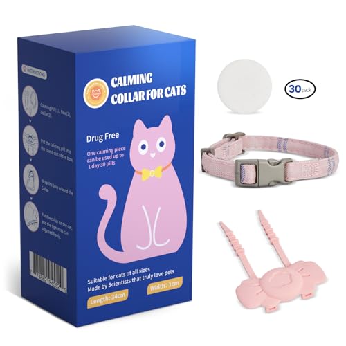 Orlpevet LpJ[~OJ[A30pbNAL𗎂ցALtFJ[AL̕sɘaARUAXgXA߉\ȔL̎ւ30Ԏ܂