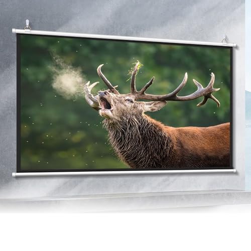 Pantalla de proyección manual 60" 16:9 retráctil portátil