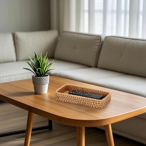Panier en osier BTSKY compact pour ranger les télécommandes du salon