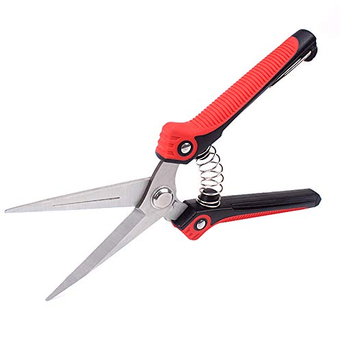 CDS Gardening Hand Pruner Pruning Shear with Straight Stainless Steel Blades, Ultra Sharp Garden...
