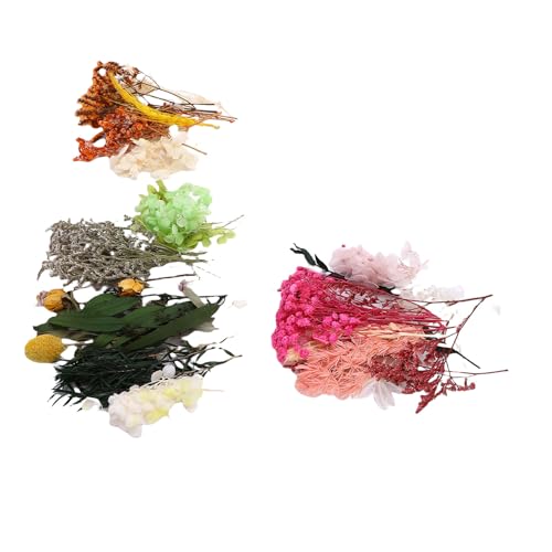 3 cajas de flores secas para manualidades miniatura 7