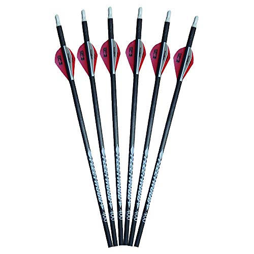 Fleetwood Arrows w/Vanes 6 Pack (Red, Spine 400)