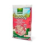 Gullón Tortitas de Arroz Integral, Yogur y Frambuesa Vitalday Pack de 4, 112.8g