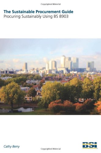 Buy The Sustainable Procurement Guide: Procuring Sustainably Using BS 8903 — BookShops.in