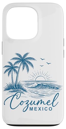 �R�X���� ���L�V�R �J���u�C �� �o�P�[�V���� ���s �X�}�z�P�[�X iPhone 13 Pro �p