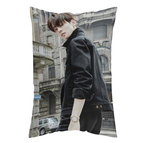 `Ek |X^[ ؗ ł̉摜ʐ^4 Jo[ ` gNbVJo[ ʃvg C  Bt@Xi[ Lk EȒP Gǂ _炩 lGp xbh 20"x30"