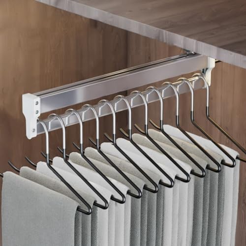 Asta appendiabiti estensibile con 2 binari di scorrimento, asta estraibile per armadio regolabile da 30 a 80 cm, asta appendiabiti, portante 25kg (Size : 800mm)