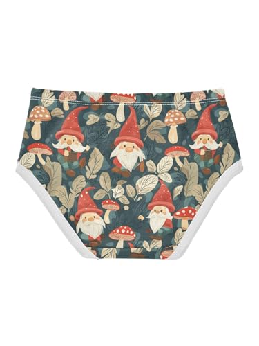 ZZKKO Forest Gnomes and Mushrooms Girls Underwear Toddler Panties for Girls Comfort Brief Size 2T2