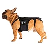 Fico Dog Back Brace – Adjustable Spine Support for IVDD, Arthritis & Post-Surgery Recovery – Lightweight, Durable & Vet Approved – 5 Sizes (XS–XL) (Small)