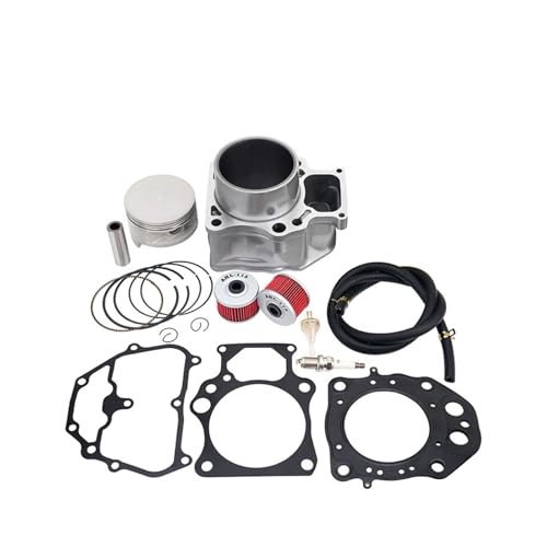 Joint culasse cylindre TRX420 pour réparer perte compression