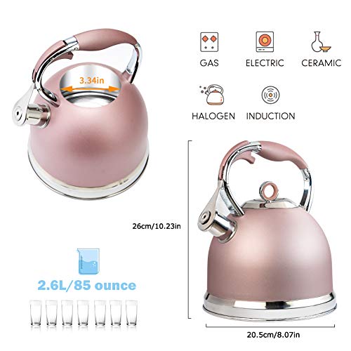 HIHUOS Stovetop Tea Kettle, 3 Liter Induction Modern Stainless Steel