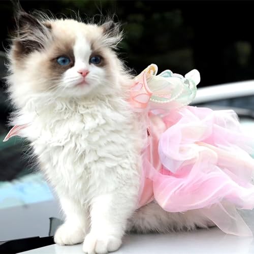 Vestido de novia para mascotas gatas y perros pequeños traje de princesa mariposas colorido 4