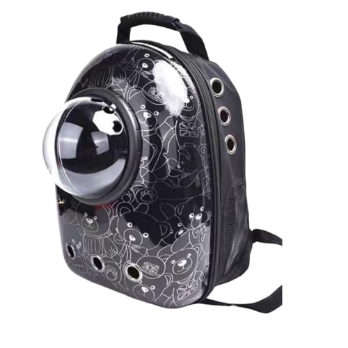 Kiwet L[obO bN LL[ bN FD JvZ y ^p hCu LsO s ʉ@ ЊQ p (5)