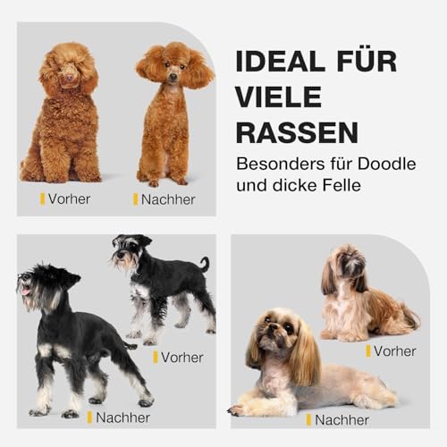 FuzzyFix Leise Hundeschermaschine Dichtes Fell, Profi Schermaschine Hund aus Edelstahl,Professionelle Hunde Haarschneidemaschine Hunderasierer für Dickes Lockiges Tierhaare,Weiß