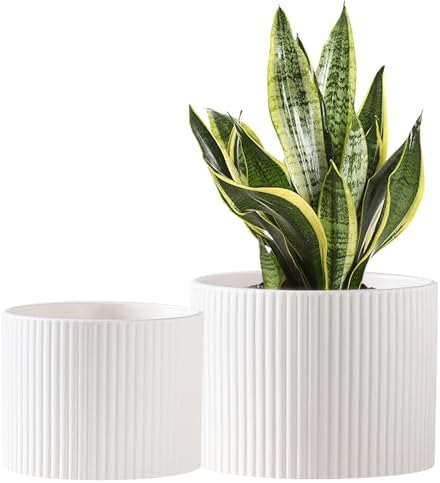 Vasos de cerâmica, vasos de 20 + 15 cm para plantas de interior, ...