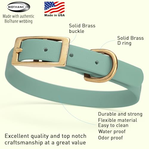 Image of Viper Biothane Heavy Duty Waterproof Dog Collar Strong Coated Nylon Webbing w /Solid Brass Hardware Odor-Proof Easy to Clean High Performance Fits Small Medium or Large Dogs, Sage Green