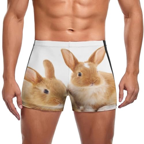 Maillot de bain slip homme marron motif lapin mignon pour la plage